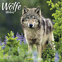 Wölfe / Wolves 2020 Wölfe / Wolves 2020