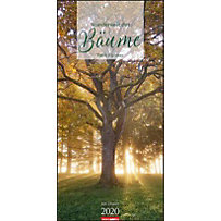 Wunderwelt der Bäume, Vertical 2020 Wunderwelt der Bäume, Vertical 2020