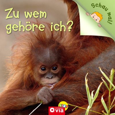 Zu Wem Gehore Ich Buch Jetzt Versandkostenfrei Bei Weltbild De