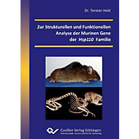 Zur Strukturellen und Funktionellen Analyse der Murinen Gene der Hsp110 Familie Zur Strukturellen und Funktionellen Analyse der Murinen Gene der Hsp110 Familie